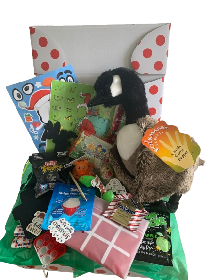 Curated Folkmanis® Puppet Gift Box | Canada Goose | Christmas Gift Box for Kids (Ages 3+): Holiday Surprise Set (Copy)